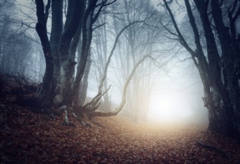 Go on a Frightening Adventure to Find the Pope Lick Monster October 15