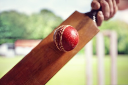 Let the Kids Play at Summer Cricket Camp July 26