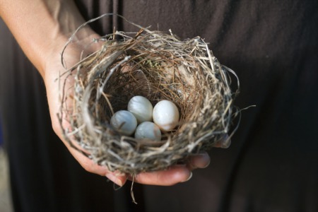 Have Fun with Nature at Creasey Mahan Nature Preserve August 19