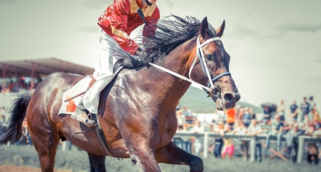 Take the Breeders Cup Walking Tour at Churchill Downs October 29