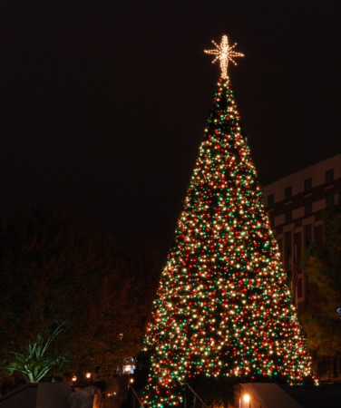 See Light Up Louisville at Louisville Metro Hall November 23