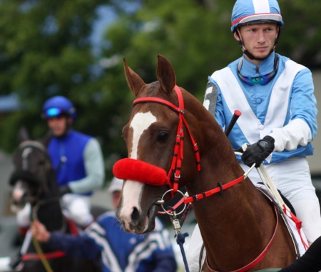Get a Sneak Peek at the Derby at Wellspring April 23