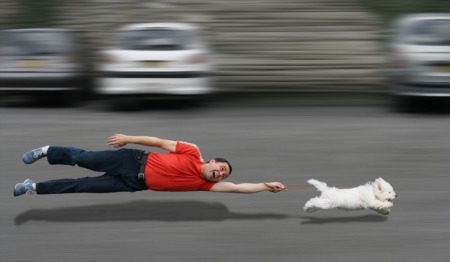 Run Your Furry Friend at Bark in the Park September 28