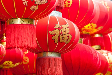 See the Wild Life Asian Lantern Festival March 12