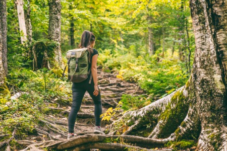 Enjoy a Spring Day in the Memorial Forest This April
