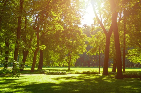 Discover Historic Audubon Park This May