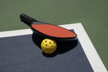 Play Pickleball in the Park This June