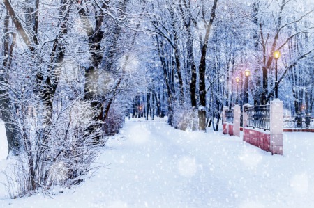 Sip Hot Chocolate and Go Walking This December