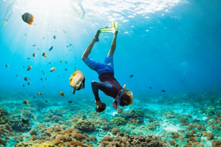 Try Scuba Diving This January 23