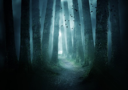 Hike Under the Moon April 26