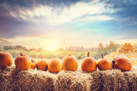 Get Treats at Pumpkinfest October 30