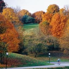 Parks in St. Matthews, Kentucky