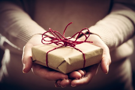 Shop at the Christmas Gift and Decor Show December 10