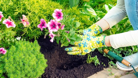 Get Landscaping Ideas This April