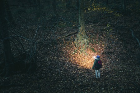 Take a Twilight Walk in the Park This August
