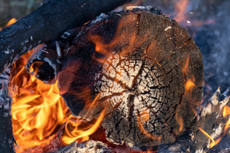 Burn Wood to Make Art August 25
