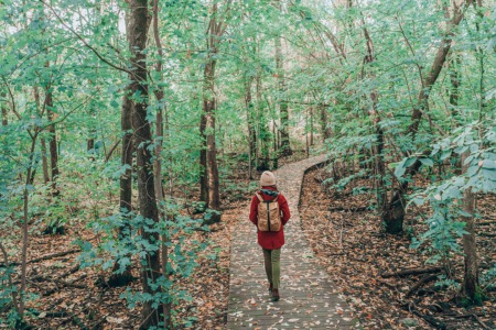 Hike the Millennium Trail November 27