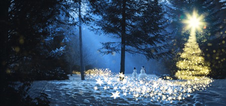 Walk in a Winter Woods Spectacular This December
