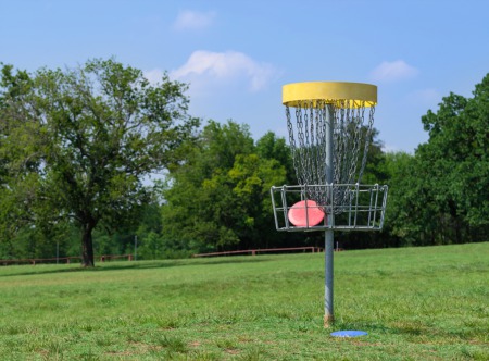 Play Disc Golf This July