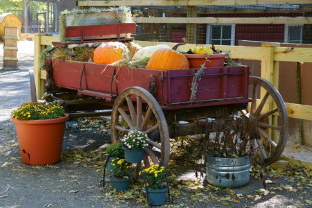 Take a Hayride on the Hill November 5