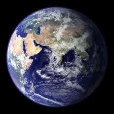 Party for the Planet at the Louisville Zoo