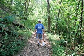 The Annual Guided Hike in Waverly Park on August 25th