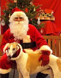 Pictures with Santa Claws at the Hurstbourne PetSmart