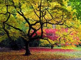 Top 5 Reasons to Live and Work in Prospect, Kentucky
