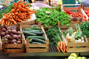 Popularity of Farmers Markets in Louisville Continues to Grow