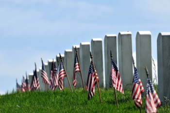 Celebrate Veterans Day November 11