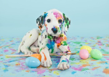 See the Best in Animal Art at Animal Attraction April 15