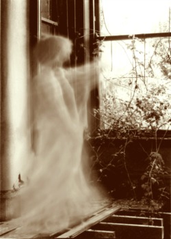 Solve the Mystery at the Conrad-Caldwell House Museum June 22 - 26
