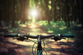 Ride On! The Best Trails for Mountain Biking in Otter Creek