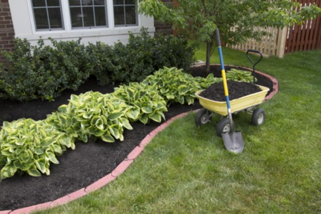 6 Reasons to Mulch this Spring