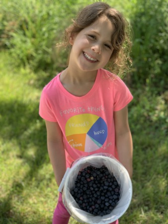 Summer Fruit Orchard U-Pick Guide