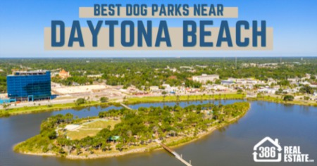 Best Dog Parks Near Daytona Beach