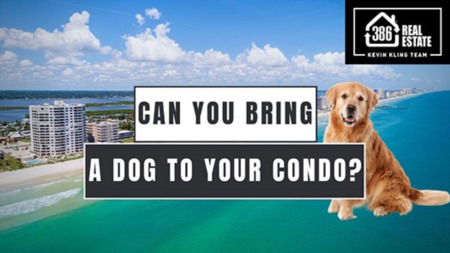 Can I Bring My Dog to a Florida Condo? Fido-Friendly Condos