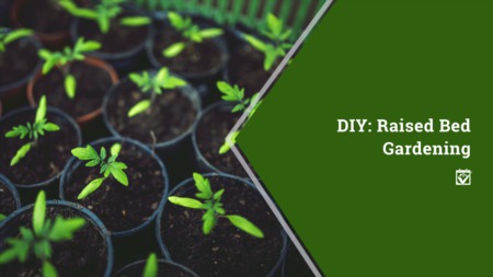 DIY: Raised Bed Gardening