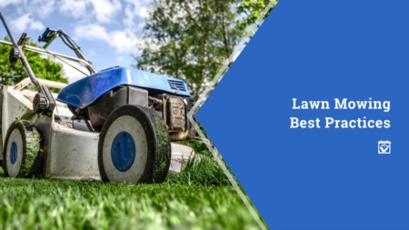 Lawn Mowing Best Practices