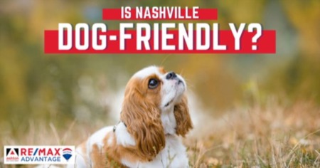 Nashville Dog Parks: How Dog-Friendly is Nashville, TN?