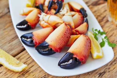 Best Seafood Restaurants for Florida Stone Crab