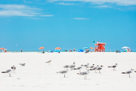 Siesta Key Points of Interest: The Beaches