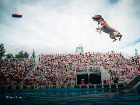 Pup Performances With A Purpose