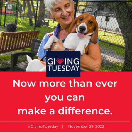 Tomorrow Is Giving Tuesday!