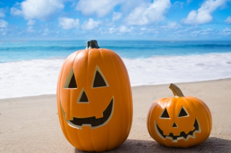 Things To Do: Fall Festivals & Halloween