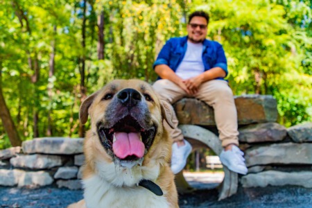The Best Dog Parks In Silver Spring