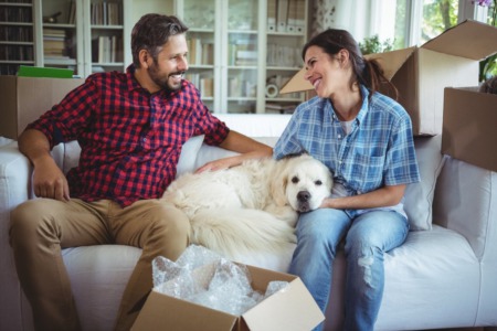 Moving Pets To The Suburbs Made Easy