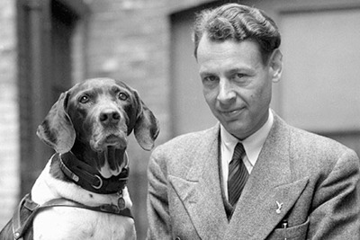 The Dogs of War