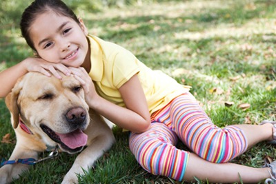 PCSing With Your Pet