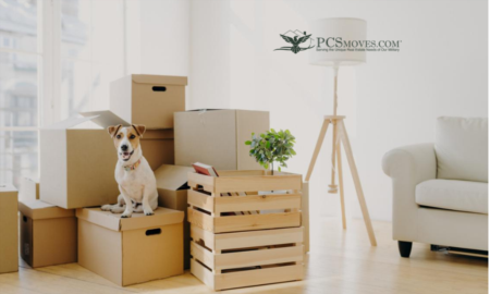 Be prepared for the cost of moving with pets